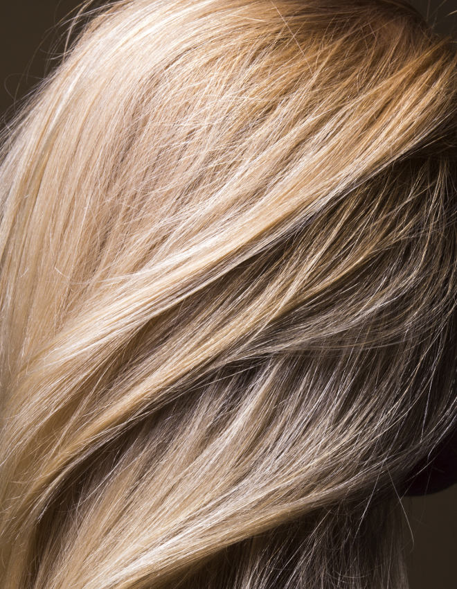 La Biosthetique Coloration